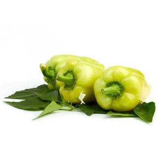 Paprika