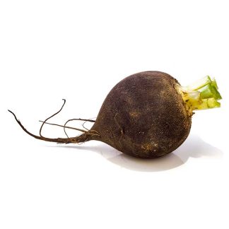 Rotkva