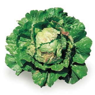 Salata