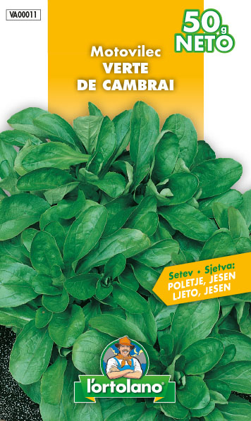 MATOVILAC VERTE DI CAMBRAI 50 G