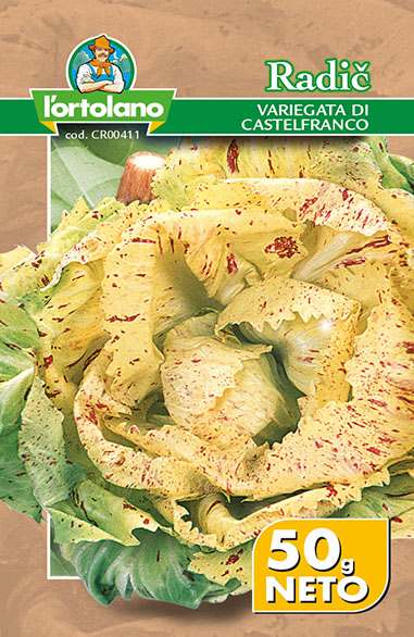 RADIČ VARIEGATA DI CASTELFRANCO 50 G