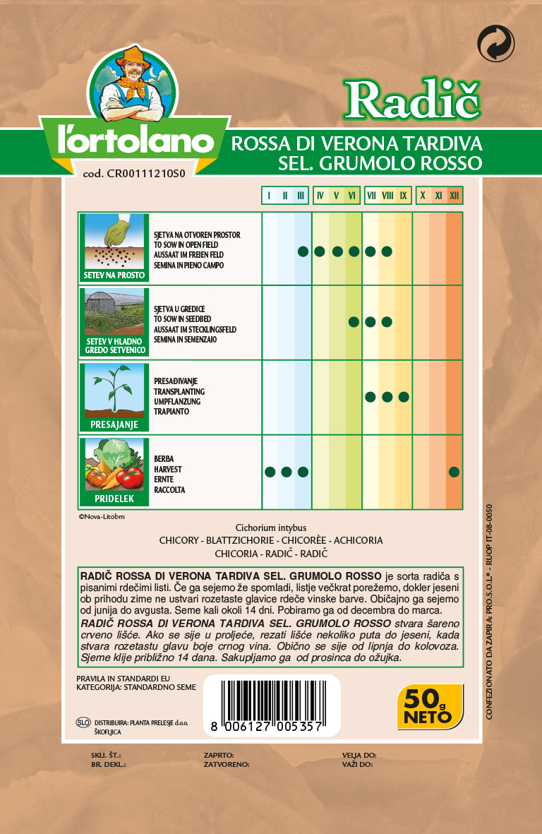 RADIČ VERONA GRUMOLO ROSSO 50 G - Slika 2