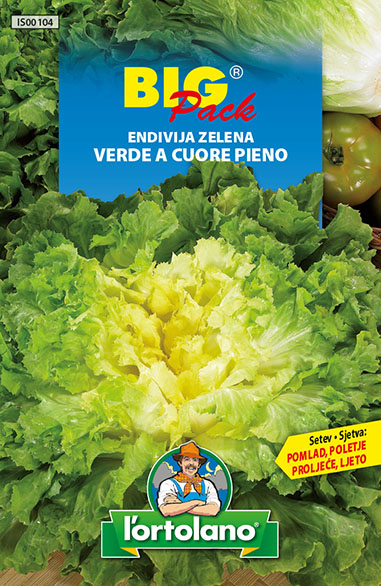 ENDIVIJA VERDE A CUORE PIENO (ESKARIOL ZELENA) 20 G
