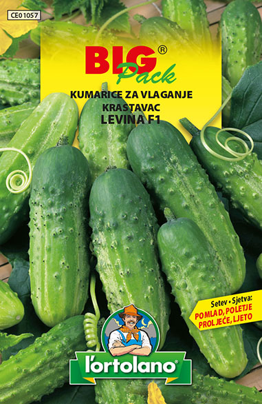 KRASTAVAC LEVINA F 1 4 G