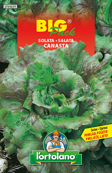 SALATA CANASTA 15 G