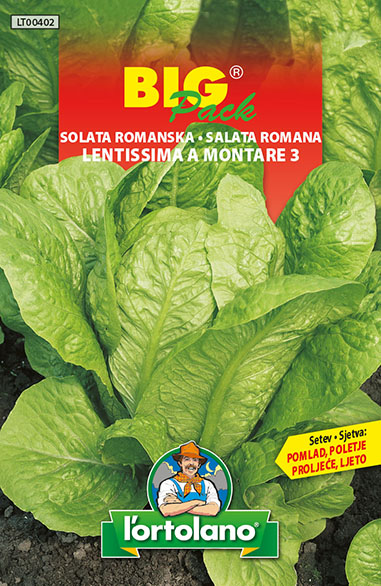 SALATA ROMANESCO LENTISSIMA A MONTARE 3 20 G