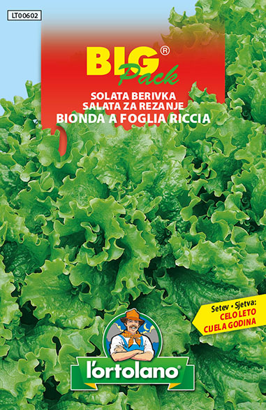 SALATA ZA REZ BIONDA A FOGLIA RICCIA 20 G